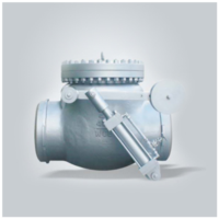 Damping Device Swing Check Valve